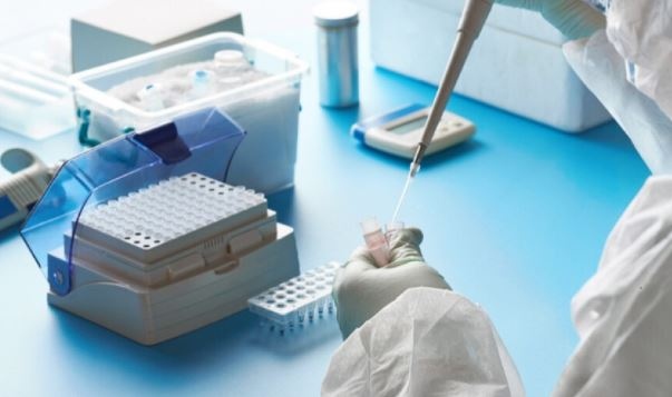 Учени от Италия и Великобритания установиха от какво зависят нивата